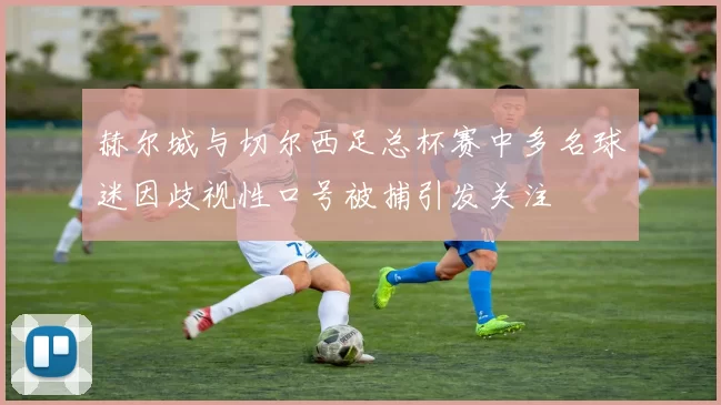 赫尔城与切尔西足总杯赛中多名球迷因歧视性口号被捕引发关注
